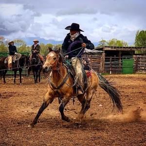 Meet your Posher, Nathan